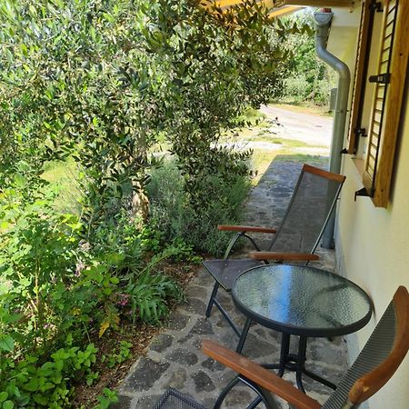 Apartma Istra Zora เซโชเล ภายนอก รูปภาพ