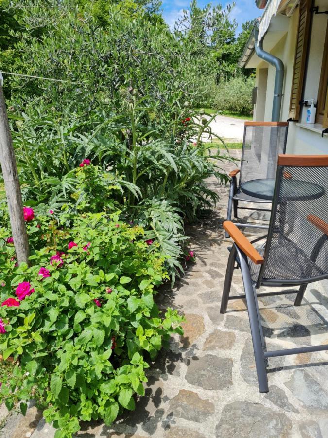 Apartma Istra Zora เซโชเล ภายนอก รูปภาพ